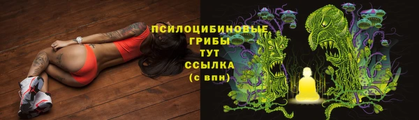 стафф Алексин
