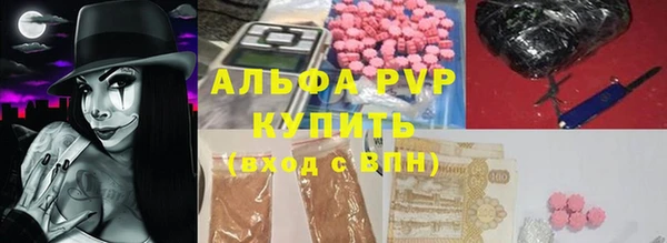 стафф Алексин