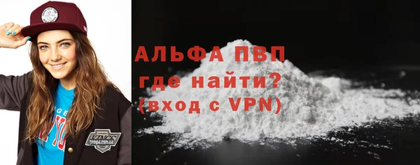 стафф Алексин