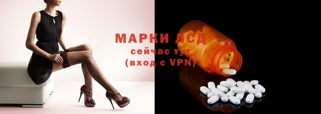индика Елабуга