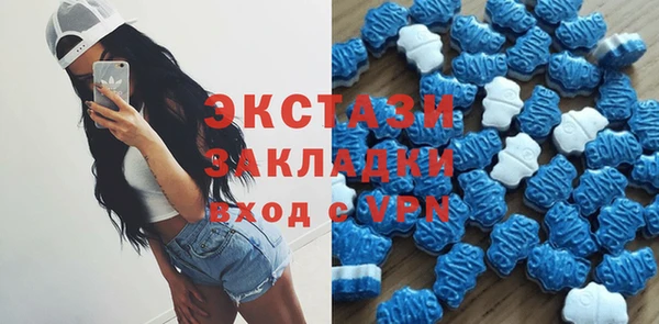 стафф Алексин
