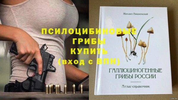 стаф Алексеевка