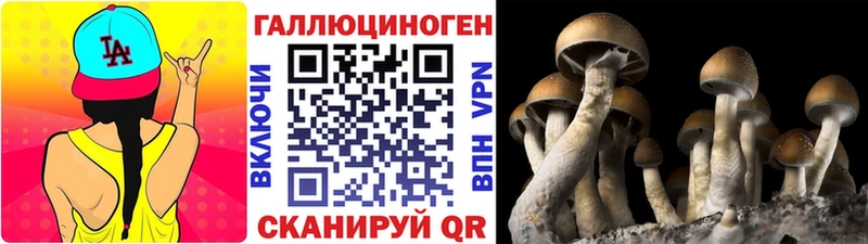 Псилоцибиновые грибы мицелий Шелехов